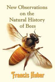 New observations on the natural history of bees